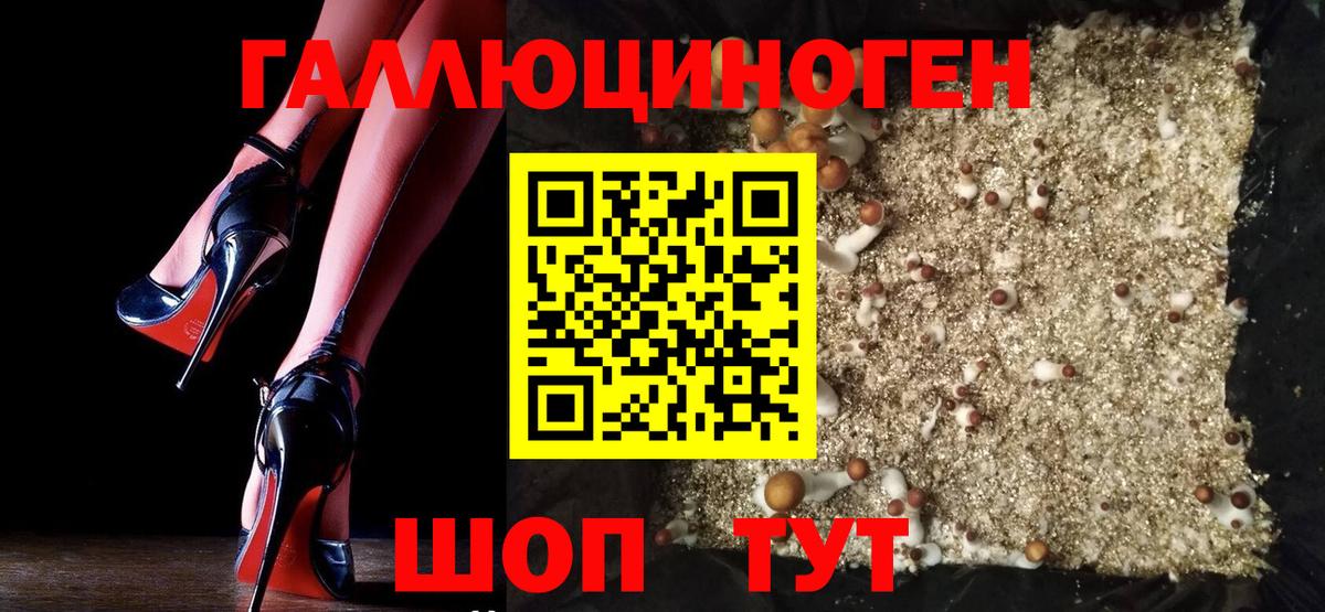 Уссурийск  Галлюциногенные грибы ЛСД  Вход с VPN 